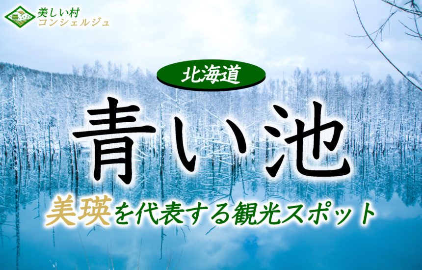 青い池 は美瑛を代表する観光スポット 美しい美瑛ブルーを見に行こう 美しい村コンシェルジュ